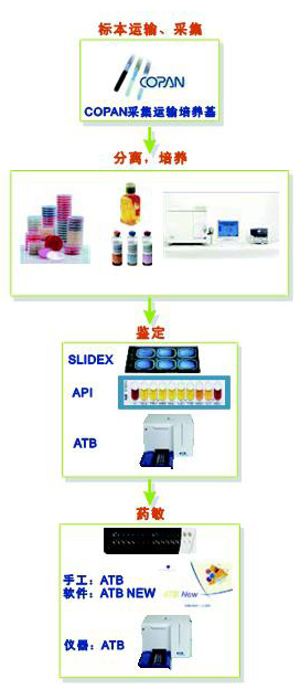 newatb自动微生物鉴定及药敏分析仪