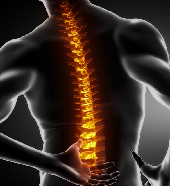 脊柱疼痛智能康复系统