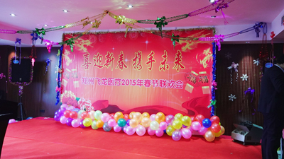 飞龙医疗2015春节联欢会